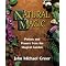 my magical cabinet books