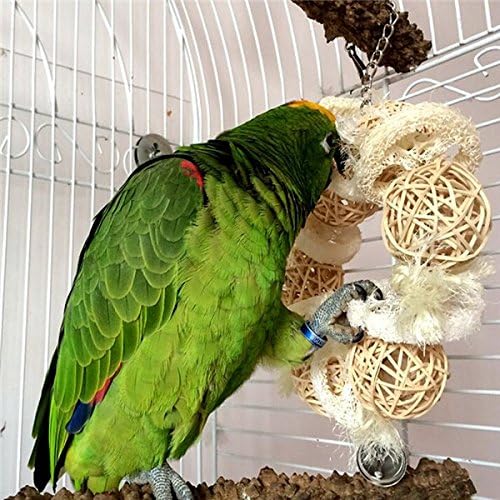 Loofahs Parrot Bird Wooden Chew Toy Parrot Bites Swing Cages Toys
