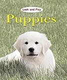 Puppies