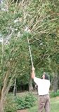 Barnel® Ultra Reach® Telescopic Pole Pruner with Saw
