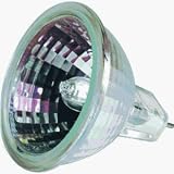 Tools & Hardware : Edison Halogen Flood Bulb, 50 Watts