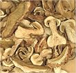 Porcini Mushrooms - Grade Super A