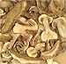 Porcini Mushrooms - Grade Super A