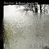 Image of album by Bon Iver