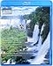 楽園‾Water & Forest‾ V-music [Blu-ray]