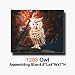 Owl 3D Puzzle