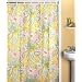 Paisley Shower Curtain