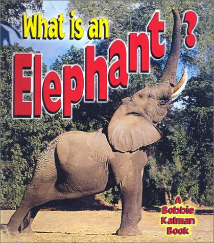 Elephants