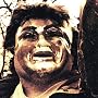 Get Your Greasy Head Off the Sham Get Your Greasy Head Off the Sham