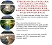 Search : The Rich Man's Make An Extra Income, Success Principles and eCommerce for Loans Web Businesses 3 CD Power Pack