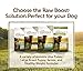 Instinct Raw Boost Grain Free Beef & Lamb Meal Formula Natural Dry Dog Food By Nature'S Variety, 4.1 Lb. Bag