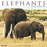 2016 elephants wall calendar