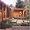 The Green House: New Directions in Sustainable Architecture