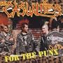 For the Punx