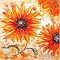 Daisy Morning Original Hand-Painted Oil on Gallery Wrapped Canvas - 32x32"