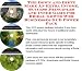Book The Insider's Earn More Money, Marketing and Inner Game for Bridal Gowns Internet Businesses 3 CD Power Pack