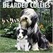 Bearded Collies 2006 Calendar