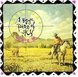 Review Robert Earl Keen  / Bigger Piece of Sky