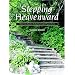Stepping Heavenward: A Bible Study Guide