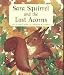 Sara Squirrel and the Lost Acorns