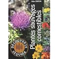 Plantes sauvages comestibles