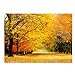 Breathtaking Landscape Note Card Pack / 36 Nature All Occasion Greeting Cards With White Envelopes Set / 6 Colorful Outdoor Scenery Designs / 3 1/2
