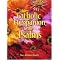 Catholic Scripture