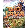  Big Java 