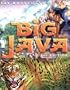 Big Java