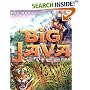 Big Java