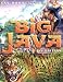 Books : Big Java