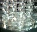 Crystal Clear Polystyrene Petri Dishes (Sterile)- Sleeve of 20 Dishes