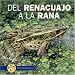 Del Renaucajo a La Rana / from Tadpole to Frog (De Principio a Fin / Start to Finish)