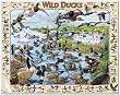 White Mountain Puzzles Wild Ducks 1000 Piece Jigsaw Puzzle