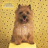 Cairn Terriers 2007 Calendar