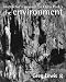 Instructor's Manual to Chris Park's The Environment: Instructor's Manual