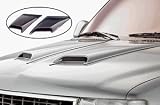 Auto Ventshade Company 981001 Hood Scoop