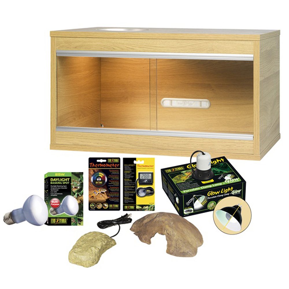 Leopard Gecko Vivarium Setup Vivarium World