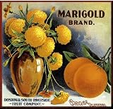 Corona, Riverside County Marigold Flowers Orange Citrus Fruit Crate Box Label Art Print