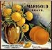 Corona, Riverside County Marigold Flowers Orange Citrus Fruit Crate Box Label Art Print