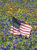 American Flag in Field of Blue Bonnets, Paintbrush, Texas Hill Country, USA Stretched Canvas Poster Print by Darrell Gulin, 30x40