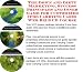 Book The Down and Dirty Marketing, Success Principles and Inner Game for Customized Ipod Carrying Cases Web Biz 3 CD Course
