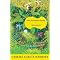 Twentieth Century Literature