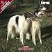 Search : 2009 Borzoi Wall Calendar