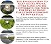 The Insider's How To Earn Extra Money, Inner Game and Biz Networking for Work For Stay At Home Parents Businesses 3 CD Power Pack