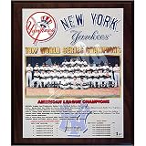 1977 New York Yankees World Series Champions Team 13x16 Plaque