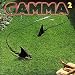 Gamma 2