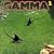 Gamma 2