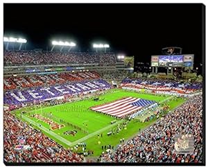 Tampa Bay Buccaneers Raymond James Stadium Canvas Photo (Size: 32