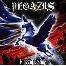 Wings Of Destiny